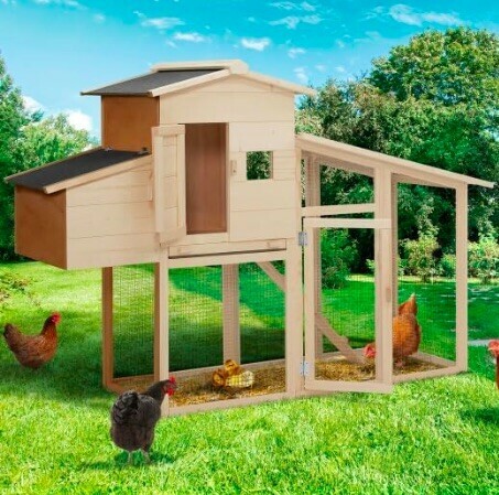 Un poulailler de jardin bien ventilé permet d'élever des poules dans de bonnes conditions - Amazon - IdMarket