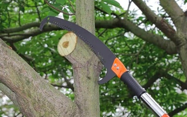 La scie arboricole sur manche télescopique permet un travail depuis le sol en sécurité - doc. Vevor